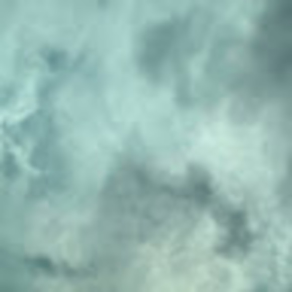 Meet your Posher, Iyla - Picture 1 of 1